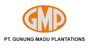 GMP